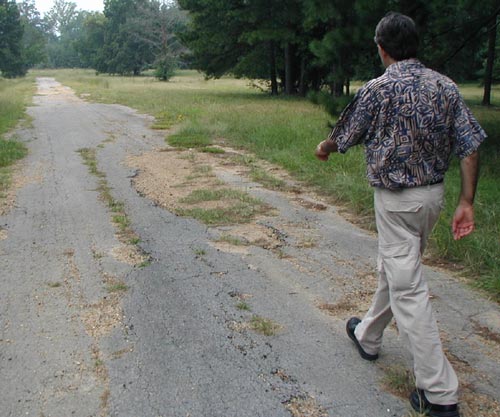 Dad walking.
