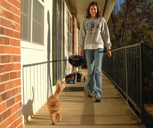 Christen walks flat faced cat.