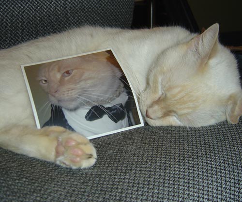 Wormboy and his senior portrait.